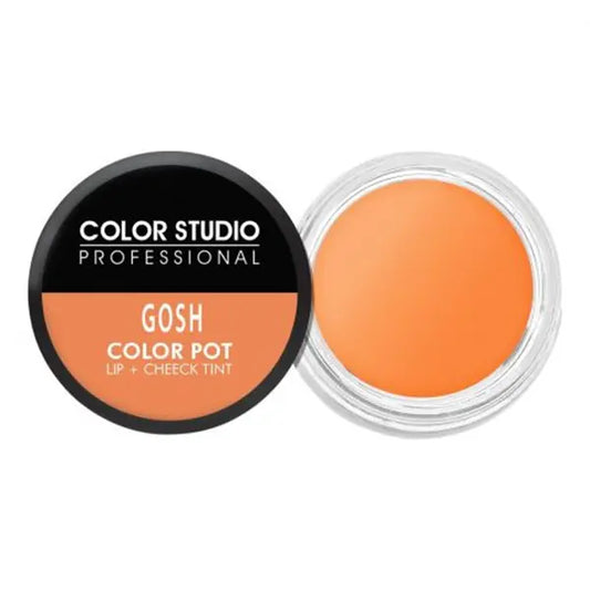 Color Studio Color Pot Lip Gosh - 1521