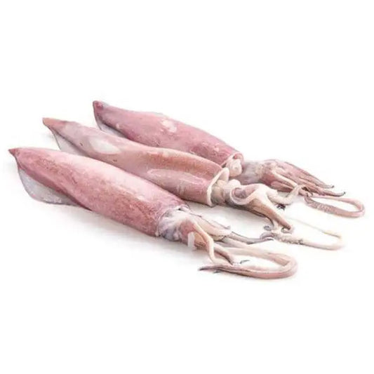 Maya 1Kg(Squid Whole)