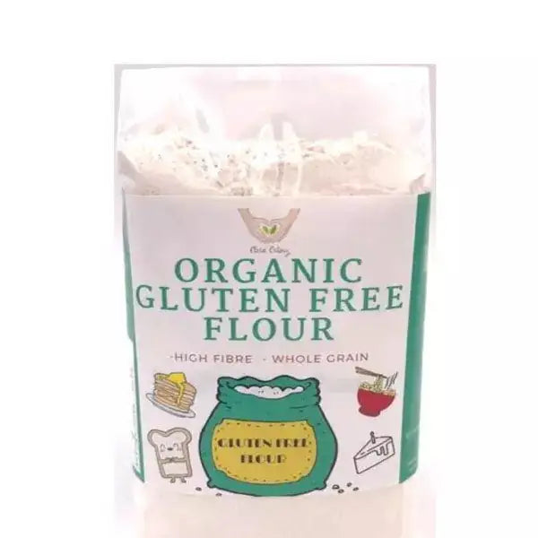 Organic Plus Gluten Free Flour 500g – Greenvalley Lahore