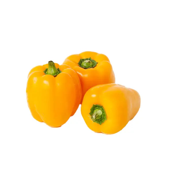 Capsicum Yellow