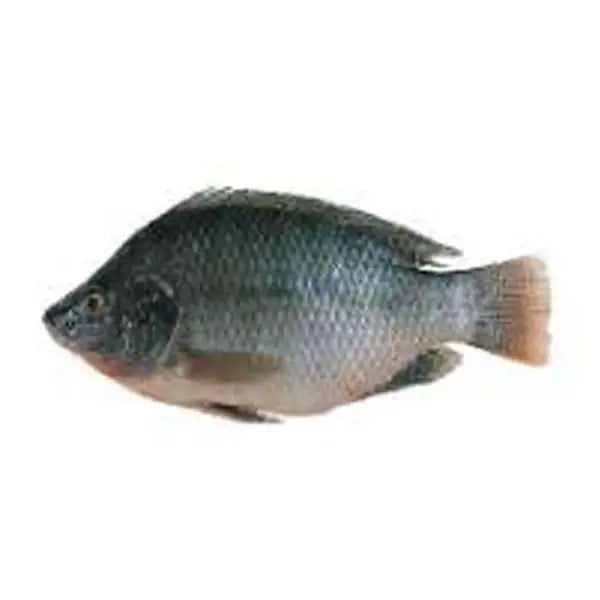 Chera Fish 1Kg - Fresh and Delicious Seafood – Greenvalley Lahore