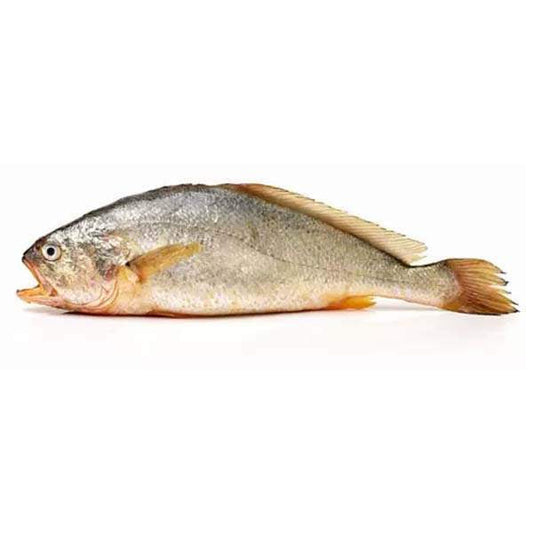 Goli Fish 1Kg