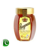 Langnese Pure Bee Honey 500G