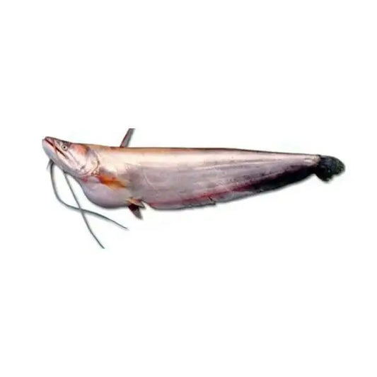 Malli Fish 1kg