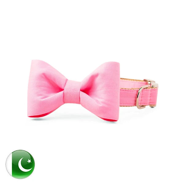 Puppy Ribon (Collar)