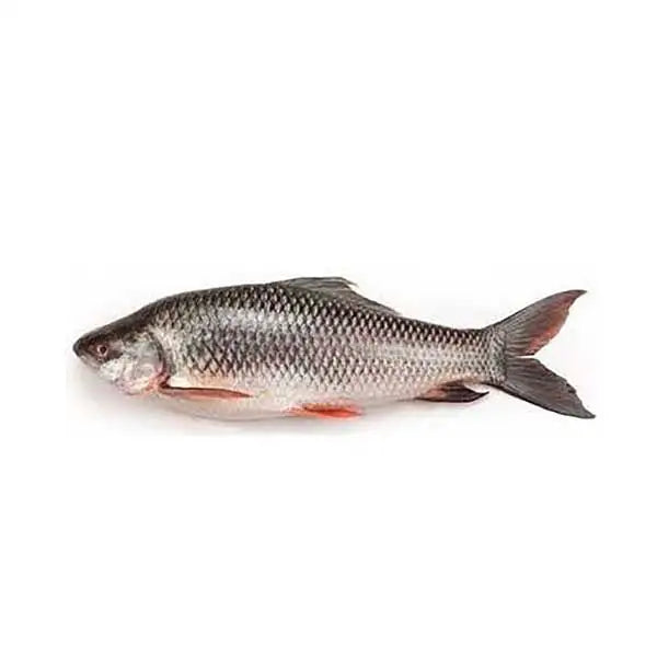 A Ritu Fish Rupsa Rahu Large 1kg - Fresh & Tender Fish for Every Recipe – Greenvalley Lahore