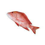 Red Snapper Heera 1Kg