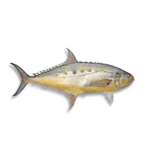 Saram Fish 1kg