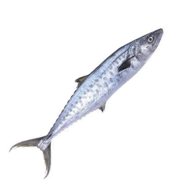 Surmai 1Kg (King Fish)