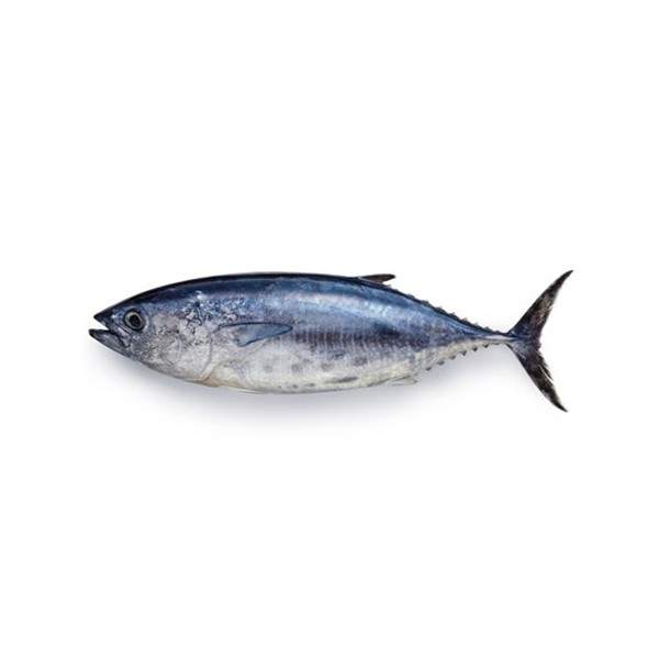 Tuna 1Kg