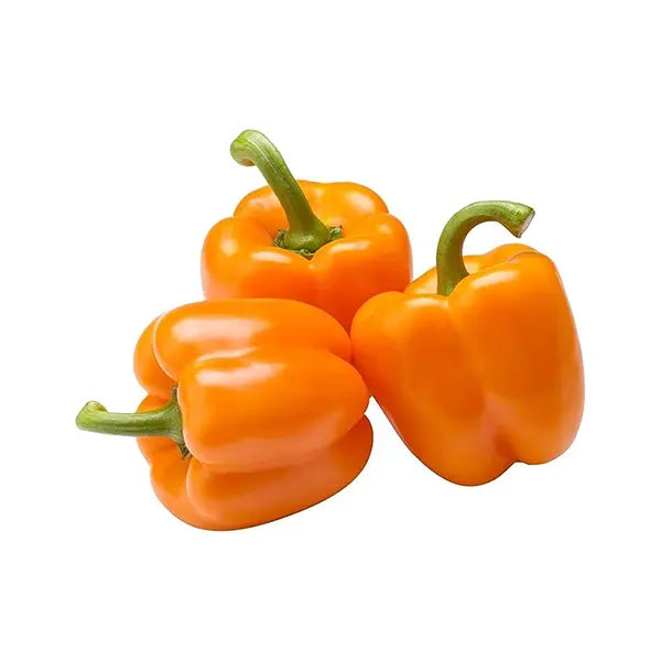 Capsicum Orange