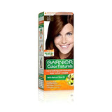 Garnier Color 4.3 Golden Brown