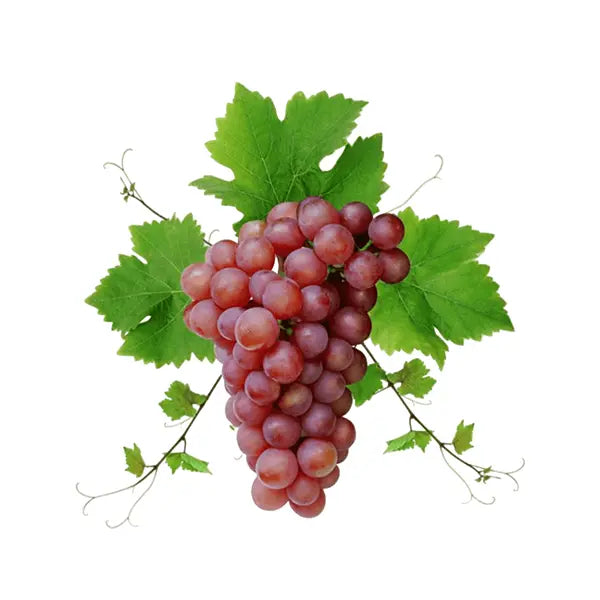 Grapes Tofi 1Kg