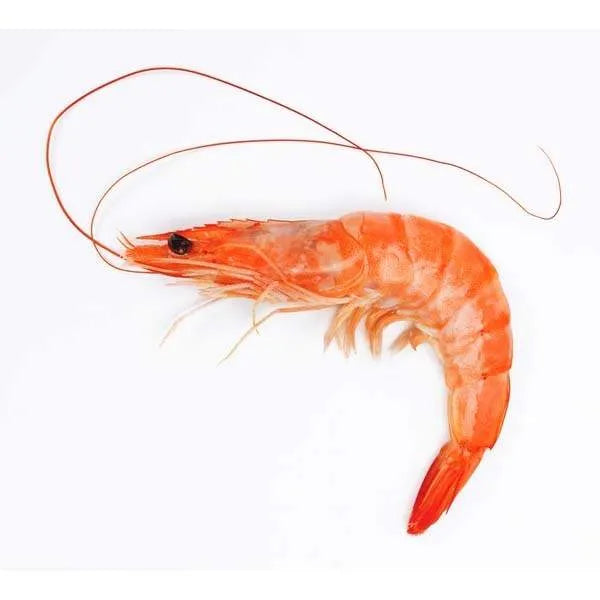 Shrimps (18/25)  8/12 1Kg